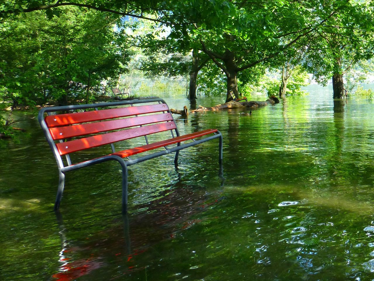 Eine rote Bank steht in einem überschwemmten Park zum Teil im Wasser