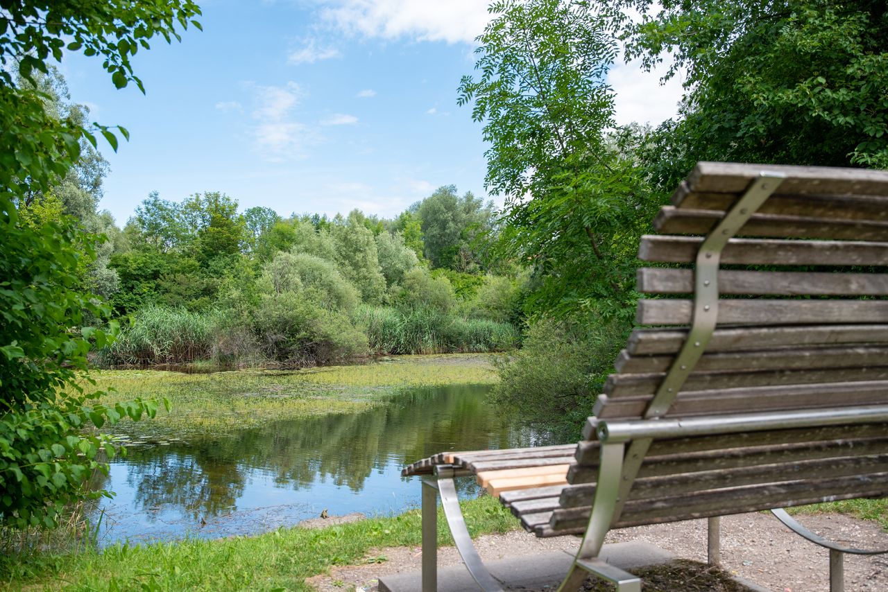 Blick auf den Teich mit Fischen und Enten im Gröbenzeller Bürgerpark
