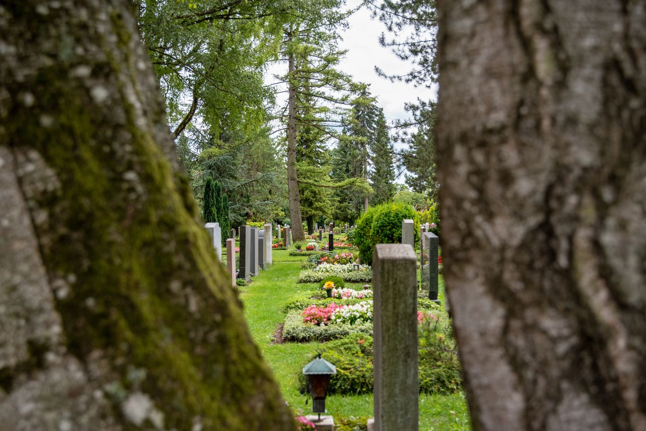Blick über den Gröbenzeller Friedhof, der von vielen Bäumen umgeben ist