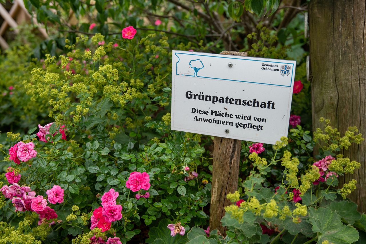 Ein mit Blumen bepflanztes Grünpatenbeet in der Gemeinde Gröbenzell