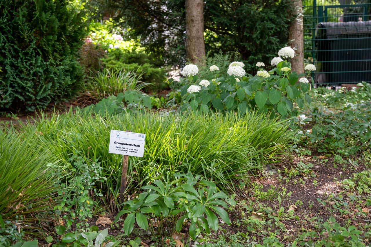 Ein mit Blumen und Sträuchern bepflanztes Grünpatenbeet in der Gemeinde Gröbenzell
