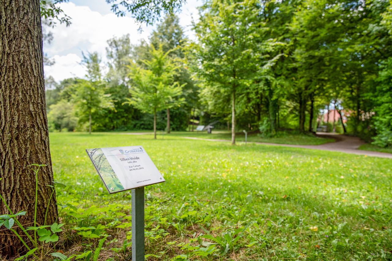 Gepflanzter Jubiläumsbaum mit Schild im Vordergrund, weitere Jubiläumsbäume im Hintergrund