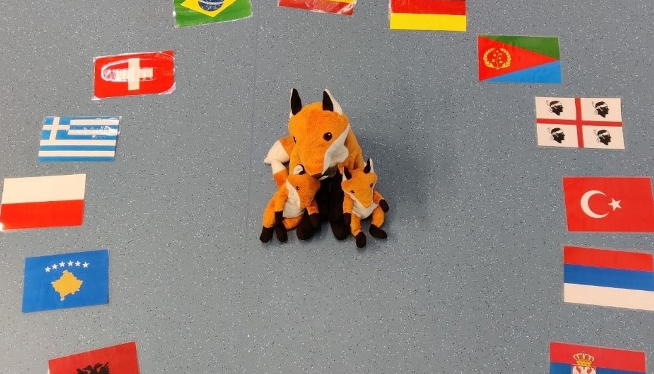 Drei Stoff-Füchse auf dem Boden, um sie herum verschiedene Länderflaggen