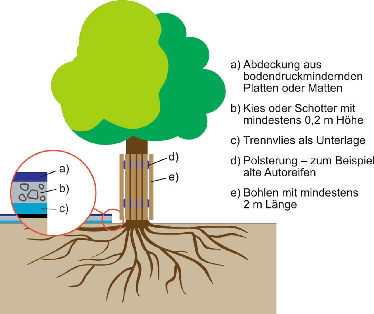 Erklärgrafik "Baupiste bei Befahrungen": Zu sehen ist ein stilisierter Laubbaum mit Wurzelwerk, Stamm und Krone - darauf eingezeichnet der korrekte Aufbau einer Baupiste inklusive Stammschutz