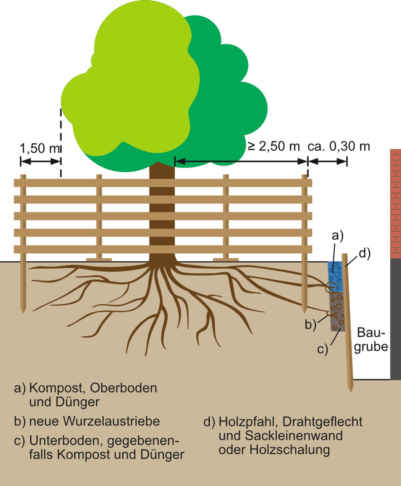 Erklärgrafik "Wurzelvorhang für Baugruben": Zu sehen ist ein stilisierter Laubbaum mit Wurzelwerk, Stamm und Krone - darauf eingezeichnet der Baumschutzzaun und der Aufbau des benötigten Wurzelvorhangs für Baugruben