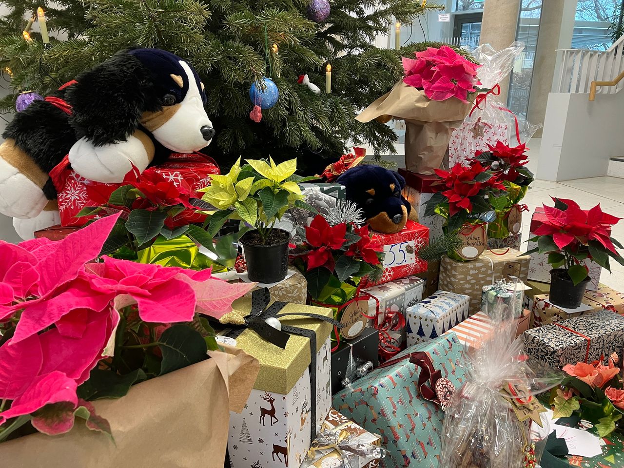 Geschenke stapeln sich vor dem Christbaum im Rathaus-Foyer.