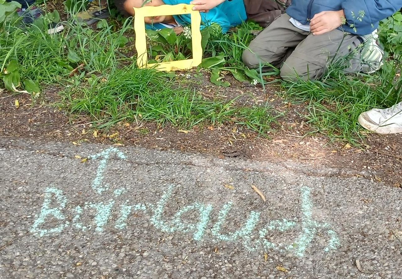 Mit Straßenkreide ist ein Pfleil auf eine Grünfläche eingezeichnet, darunter steht Bärlauch.