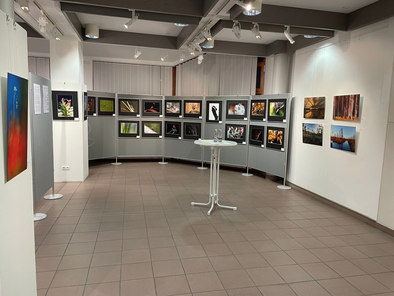 Foto einer Ausstellung in der Galerie im Bürgerhaus.  Es hängen Fotos an den Wänden, davor steht ein Bistrotisch.