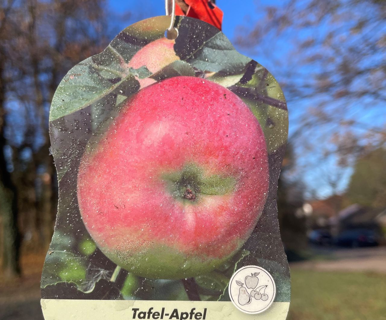 Bild eines Schildes an einem Apfelbaum.