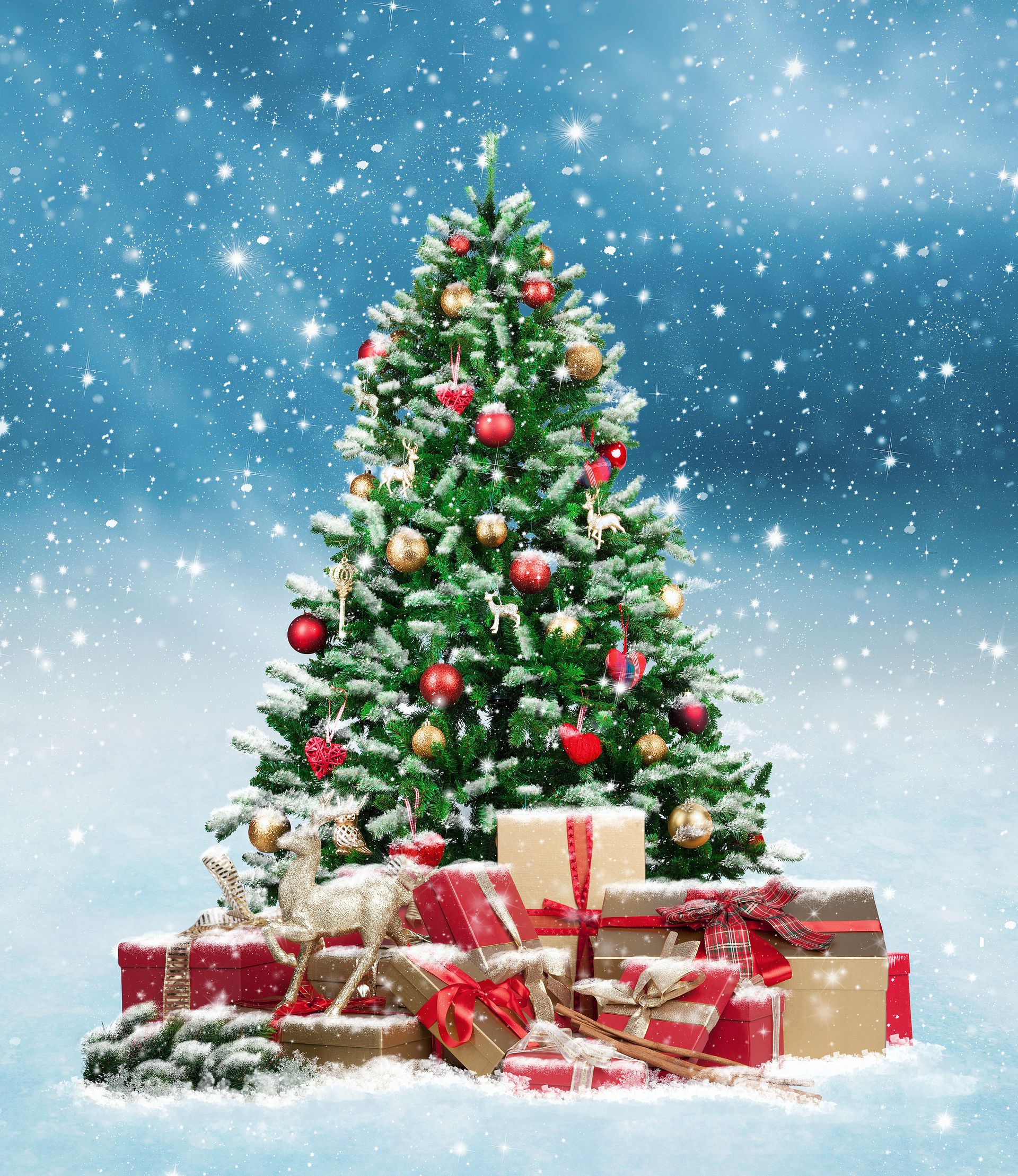 „Aktion Wunschbaum“ 2025 in den Startlöchern geschmückter Weihnachtsbaum mit Geschenken