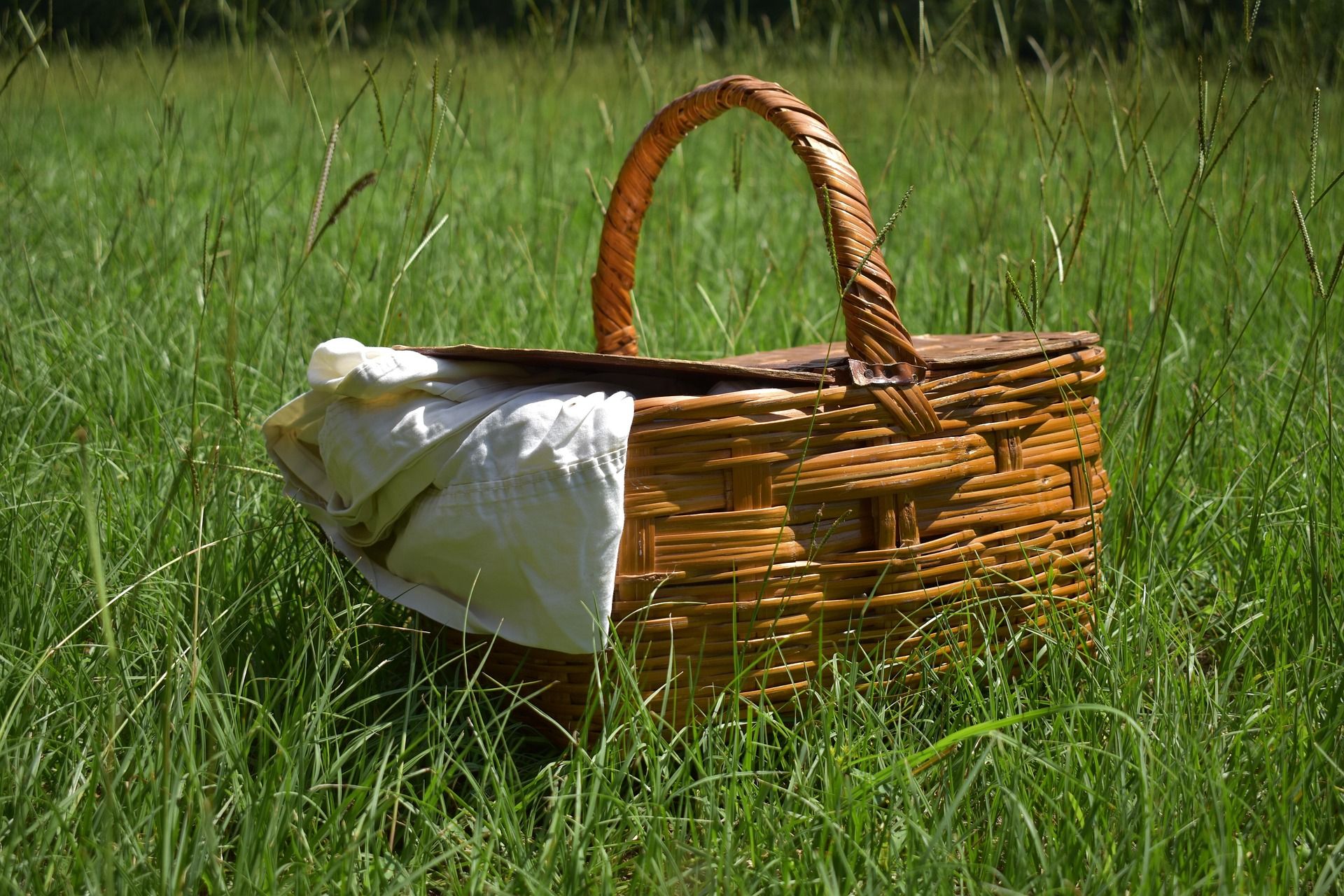 Ein Picknickkorb steht auf einer grünen Wiese. Auf der linken Seite  hängt eine helle Decke heraus.