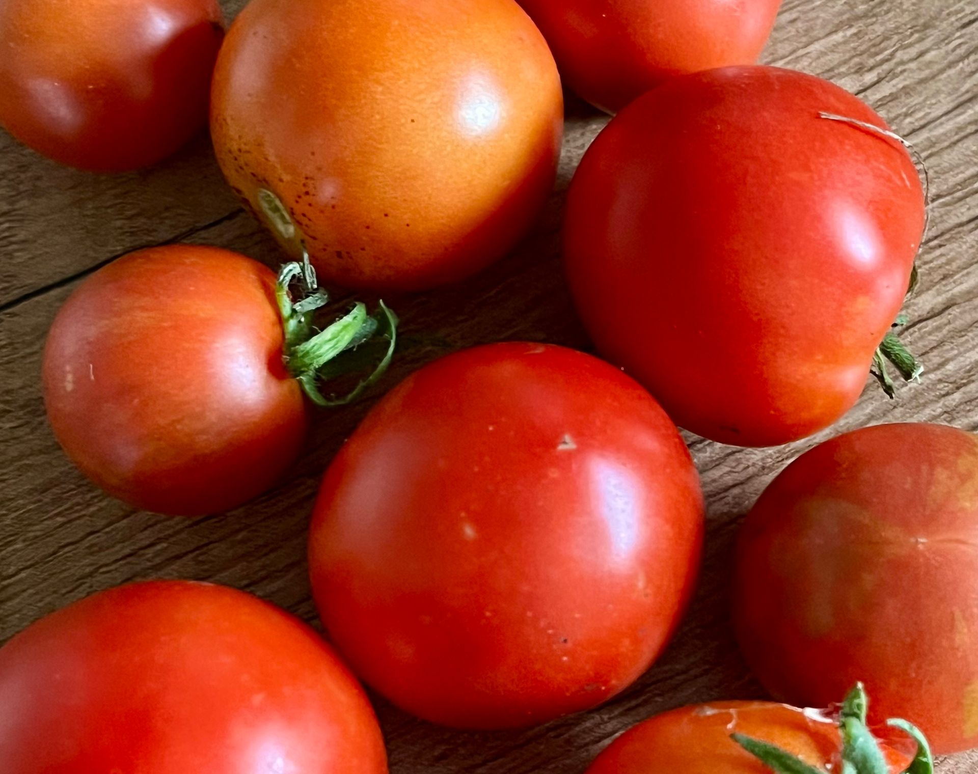 Saatgutfans treffen Einmach-Klub Mehrere Tomaten liegen auf einem Tisch.