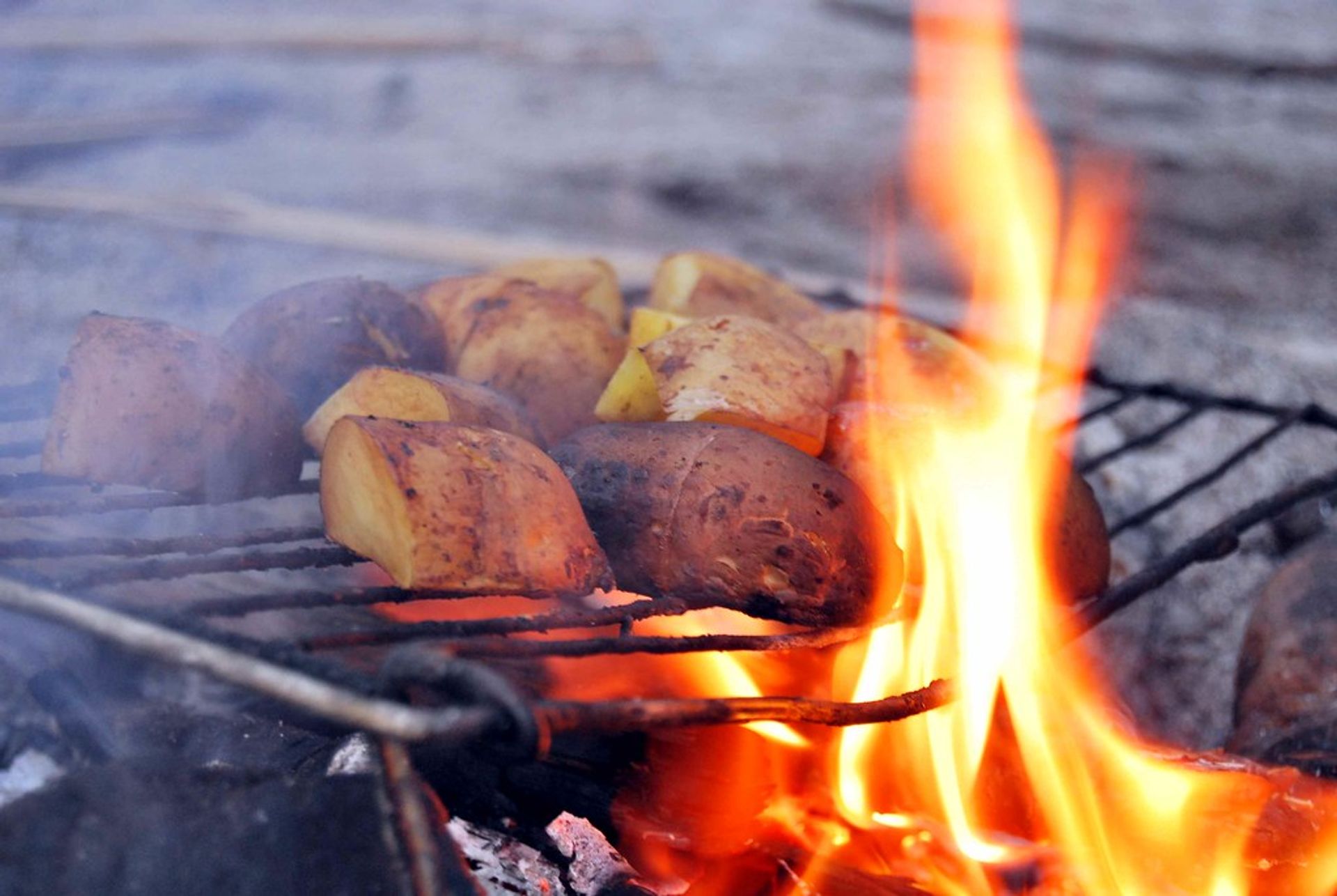 Kartoffelfeuer Kartoffeln auf einem Grillrost im Feuer.