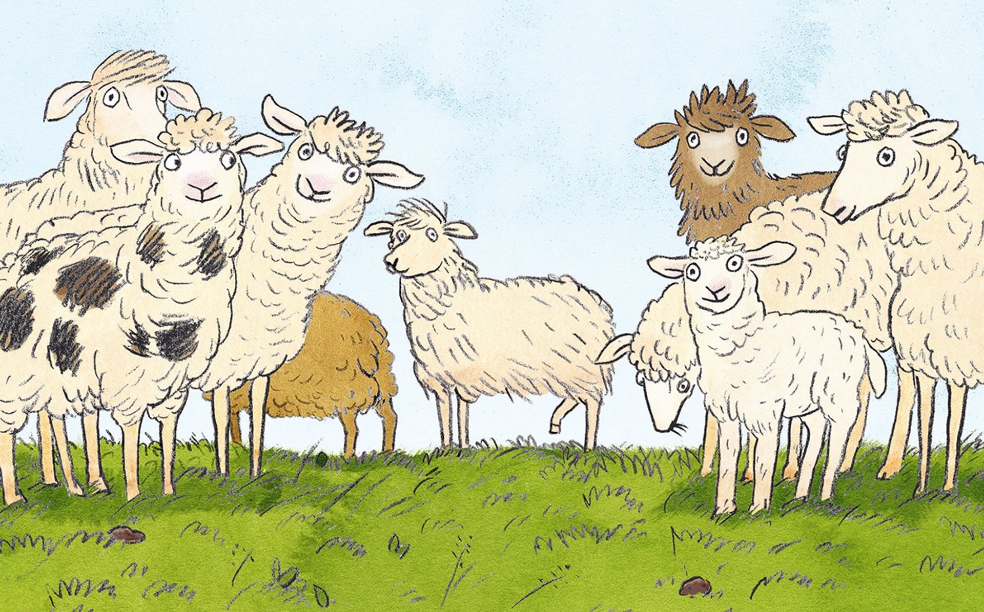 Eine Herde verschiedenfarbiger Schafe steht auf einer grünen Wiese.