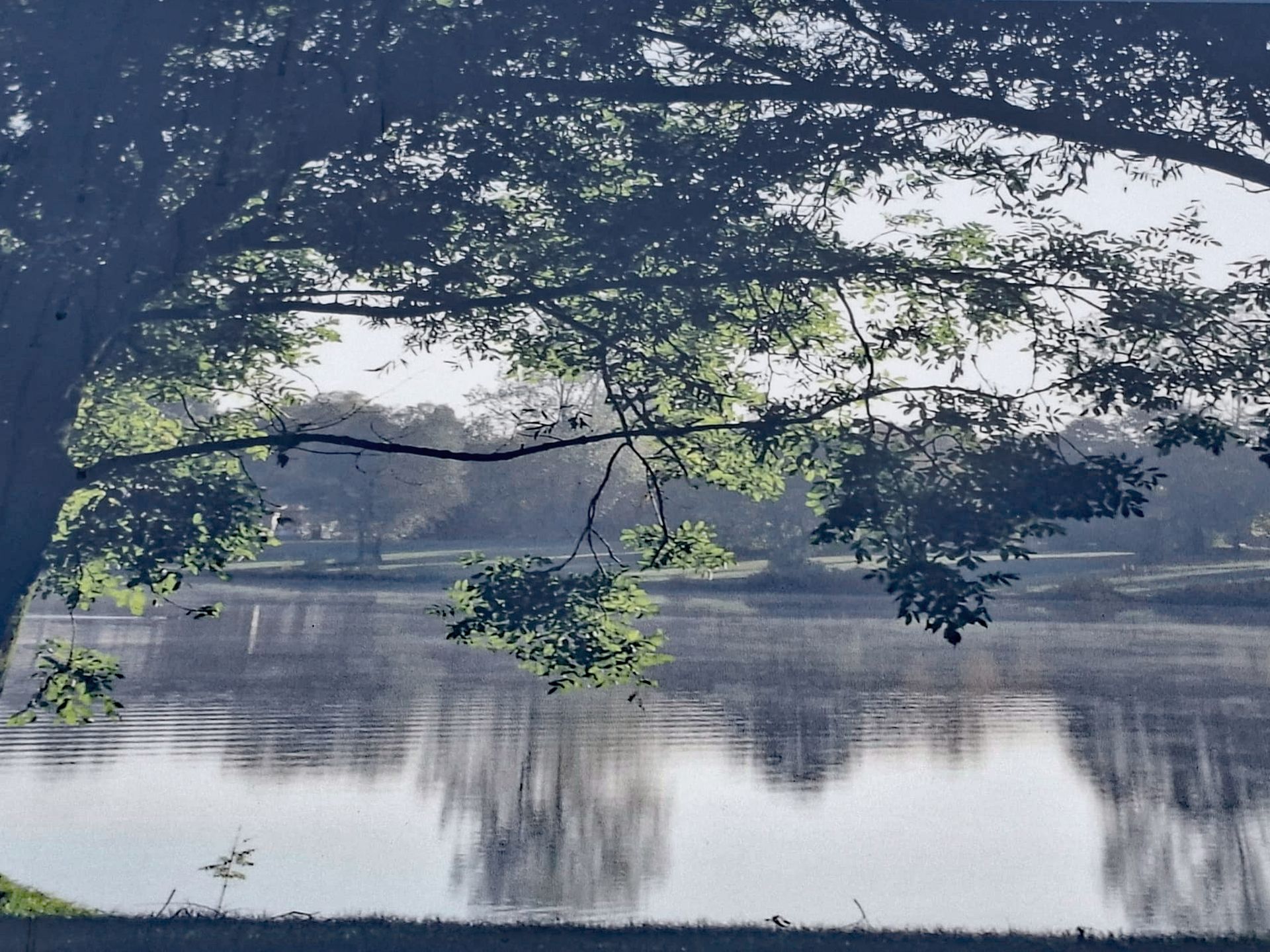 Foto des Karlsfelder Sees