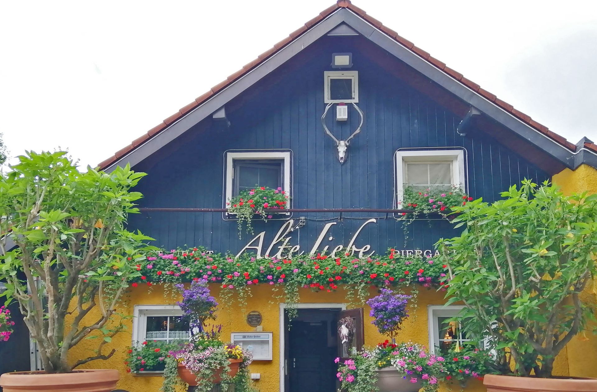 Foto des Wirtshauses "Alte Liebe" mit Blumen vor dem Eingang.