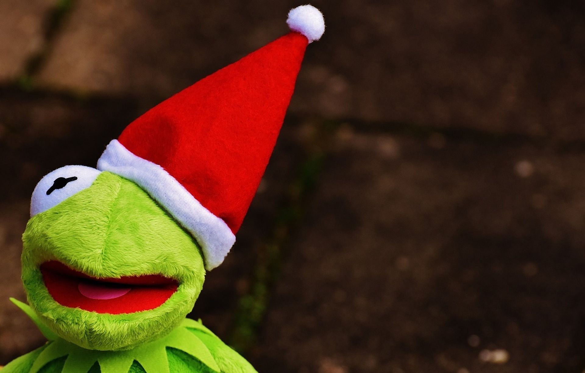 Kermit der Frosch mit einer Weihnachtsmütze über dem rechten Auge.