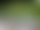 Steine liegen in einem Garten.
