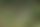 Foto eines Sees mit viel Gras und Bäumen.
