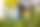 Mehrere Personen mit Müllsäcken beim Müllsammeln im Gras