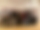 Alle Geehrten gemeinsam mit Dr. Daniel Holmer und Martin Schäfer auf der Bühne des Bürgerhauses fotografiert.