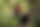 Eine rothaarige Frau hockt auf einem Baum. Auf einem Ast unte4r ihr sitzt ein grüner Plüschfrosch. Auf einem Knie sitzt eine Mädchen-Handpuppe mit wuscheligen gelben Haaren.