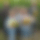 Die Geehrten Vorstandsmitglieder des Vereins Gröbenpark e.V. als Nette Nachbarn mit den Tippgebern zusammen auf einem Bild.
