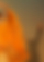 Unscharfe Ausschnitte zweier "tanzender" Menschen in Orange und Grau gekleidet.