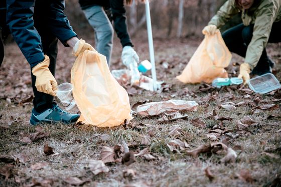 Freiwillige sammeln herumliegenden Müll ein