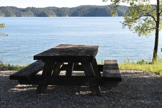 Ein Picknicktisch mit zwei Bänken steht im Schatten am Ufer eines Sees.