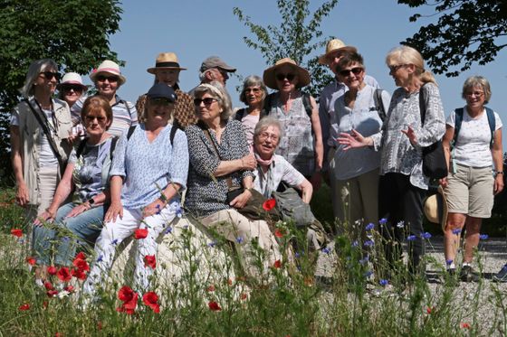 Gruppenbild: Seniorinnen und Senioren in Wanderkleidung bei einer Gehpause am Wegesrand, im Vordergrund Mohn- und Kornblumen