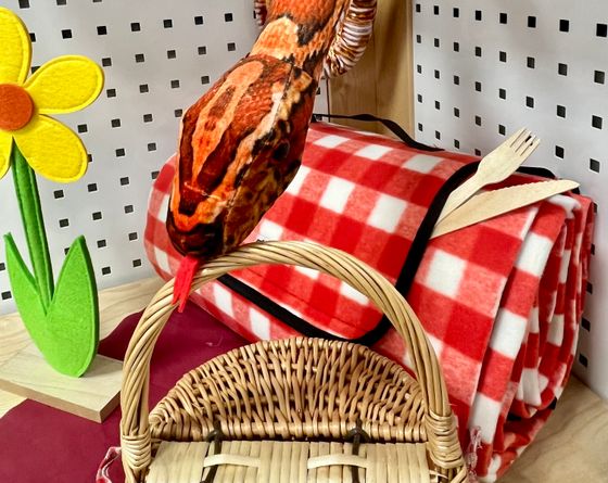 Bücherei-Picknick mit Schlange Eine Schlange schlängelt sich über einem Picknickkorb und einer rot-weiß-karierten Picknickdecke. Links sieht man eine gelbe Blume, am oberen Rand sieht man zwei Bücher.