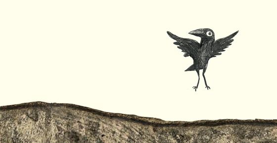 Ein Rabe flattert über einem grauen Untergrund