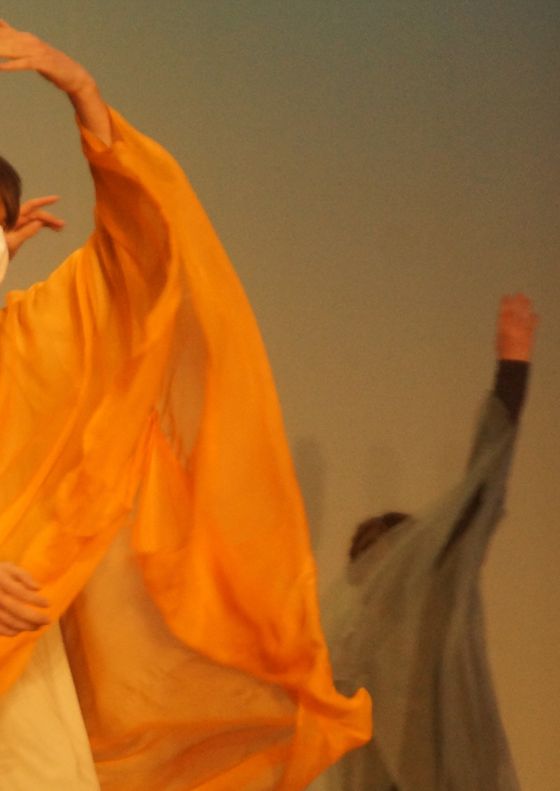 Unscharfe Ausschnitte zweier "tanzender" Menschen in Orange und Grau gekleidet.