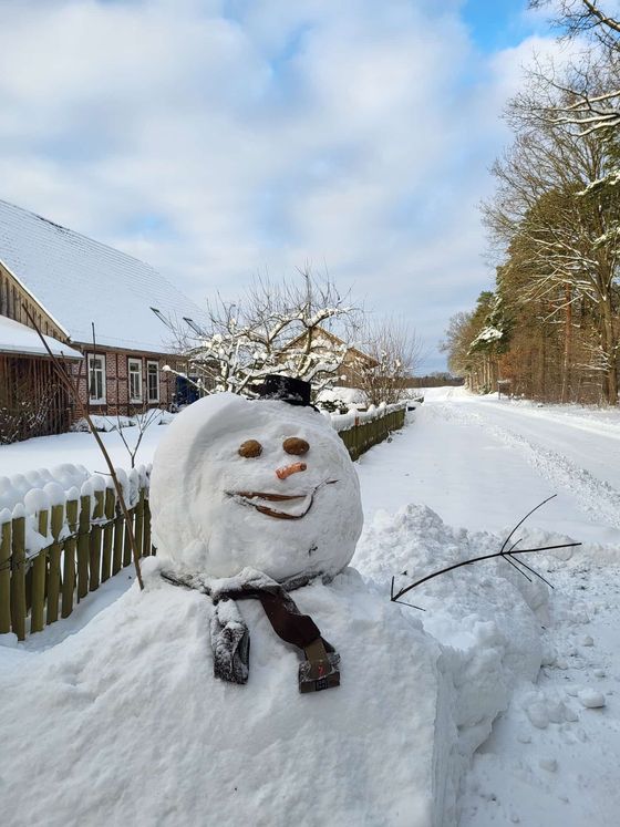 Schneemann in einer schneebedeckten Straße vor einem Haus