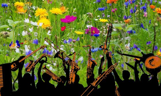 Blumenwiese mit Schatten von Musikern davor.