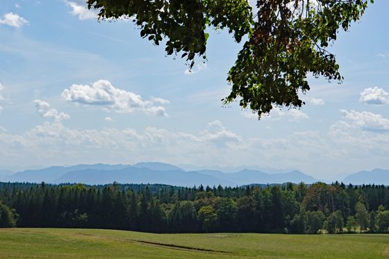 Grüne Landschaftsaufnahme rund um den Deininger Weiher.