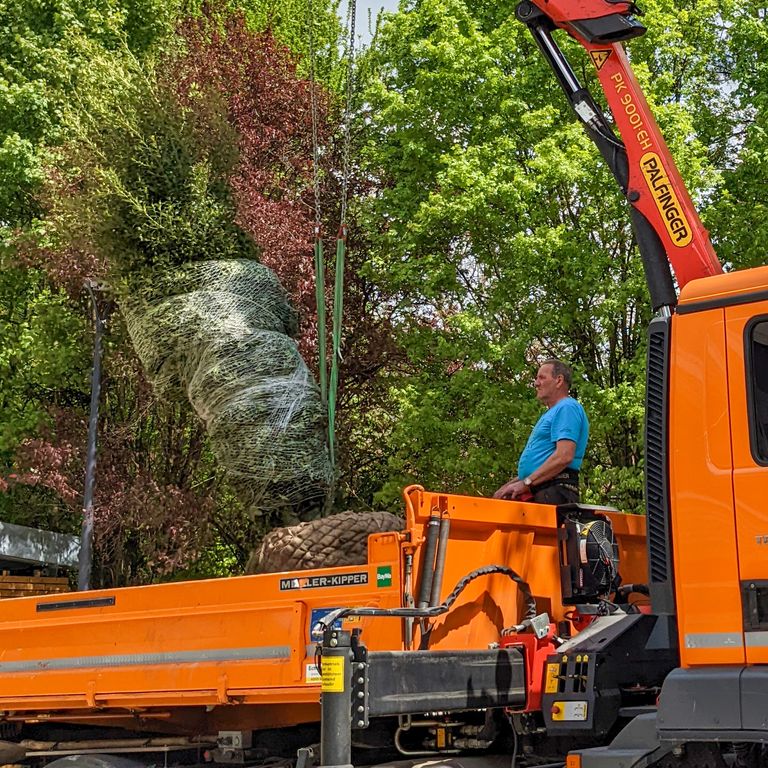 Pflanzung einer Stechpalme vor dem Rathaus Kranfahrzeug, im Einsatz bei der Pflanzung einer Stechpalme vor dem neuen Rathaus am 04.05.2022